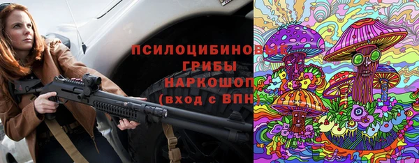 дурь Липки