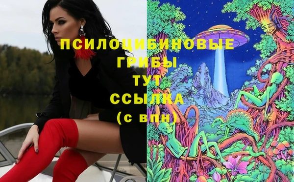 хмурый Майский
