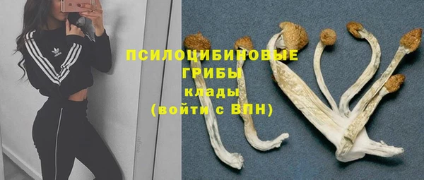 хмурый Майский