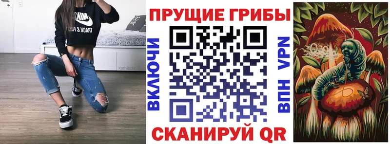 площадка официальный сайт  Маркс  Псилоцибиновые грибы Psilocybe  купить наркоту 