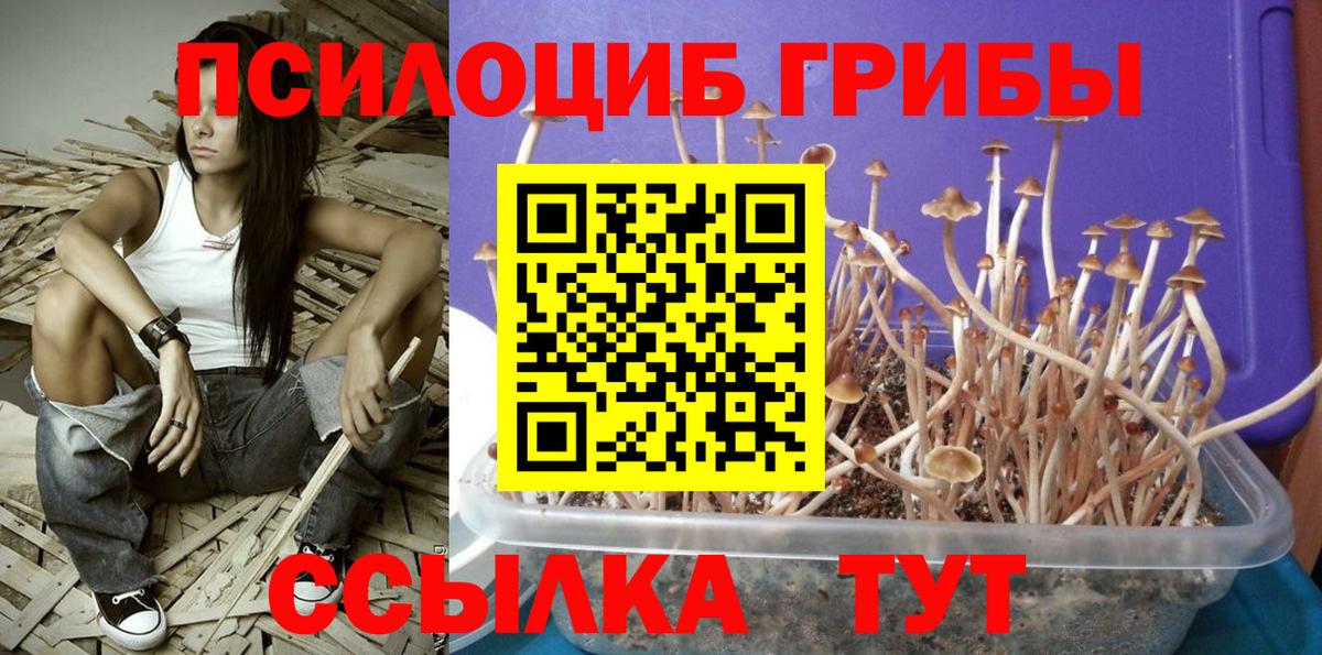 Маркс  Галлюциногенные грибы Magic Shrooms  где найти   Вход с VPN 