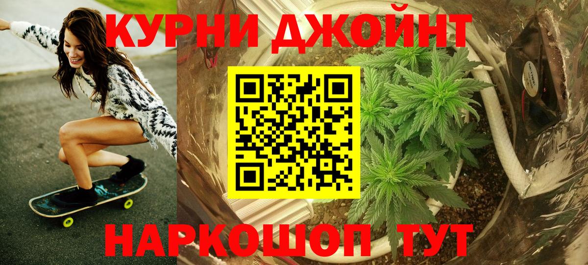 Бошки Шишки план  Шишки марихуана сатива  Вход с VPN  Бошки марихуана марихуана  Маркс 